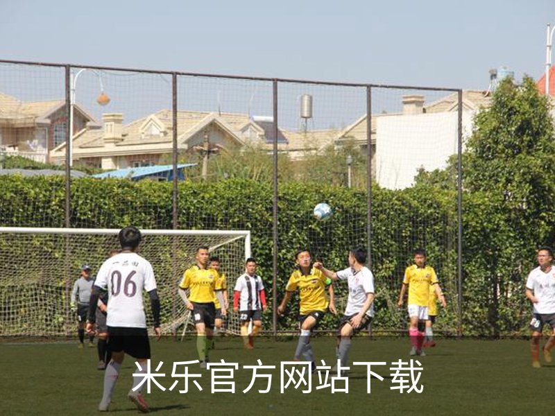 米乐官方网站下载简介